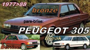 Pare-brise teinté bronze PEUGEOT 305 - 1977/88